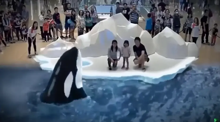 全息投影广告为什么不流行了?为何全息投影广告未能普及? 全息投影广告为什么不流行了?为何全息投影广告未能普及?