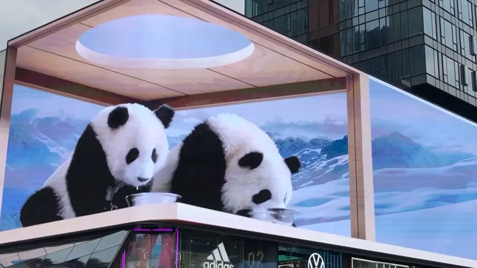 全息投影5d得多少钱一张?全息投影5D的售价是多少? 全息投影5d得多少钱一张?全息投影5D的售价是多少?