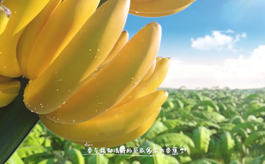 三维动画制作软件推荐